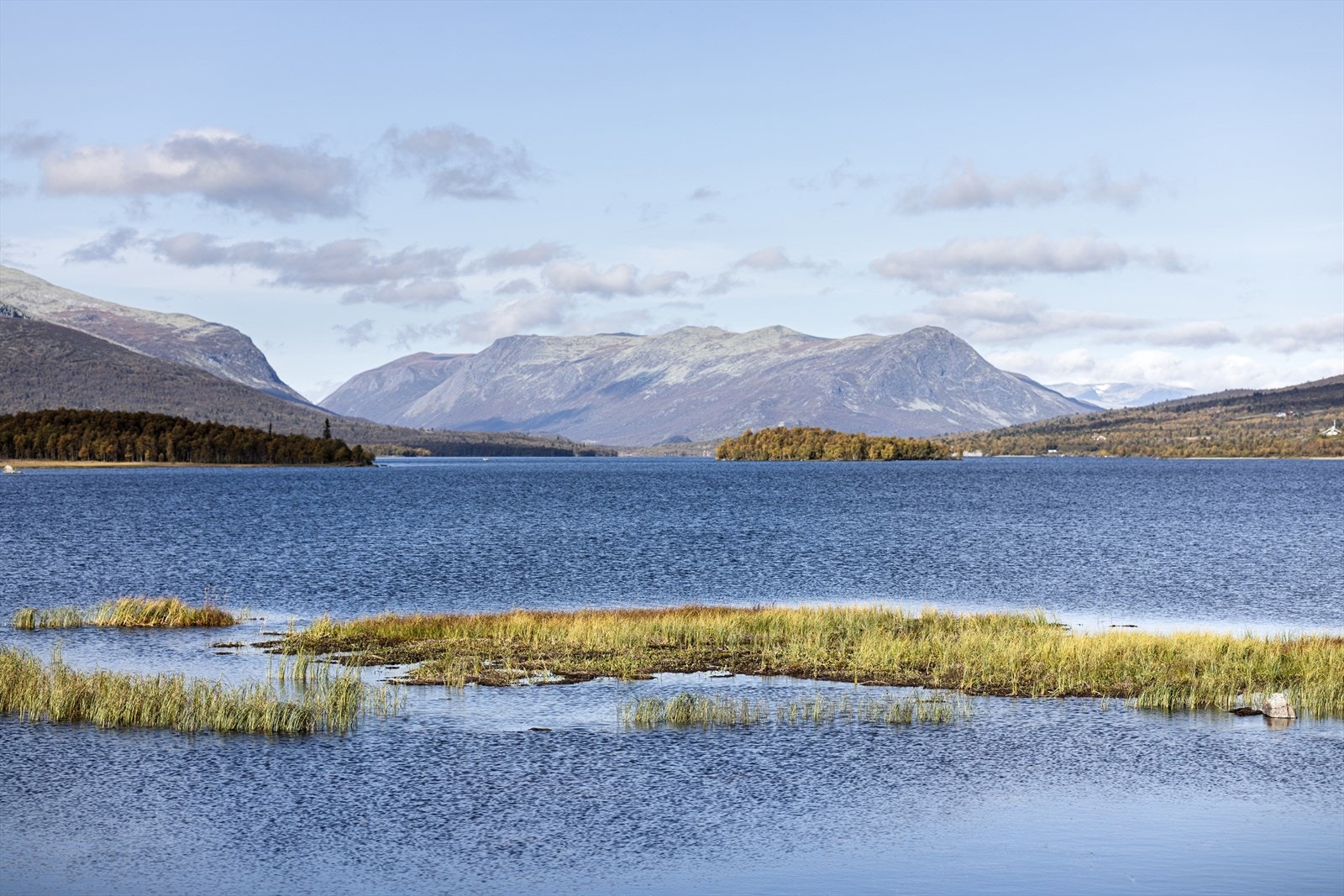 Selgers eget foto. Galleribilde