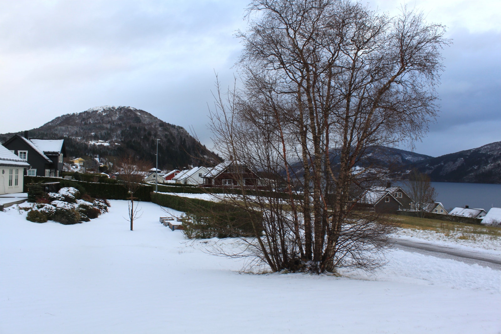 Utsikt i retning aust Galleribilde