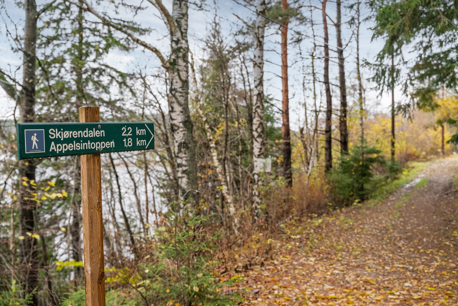 Det er flotte turløyper i området! Galleribilde