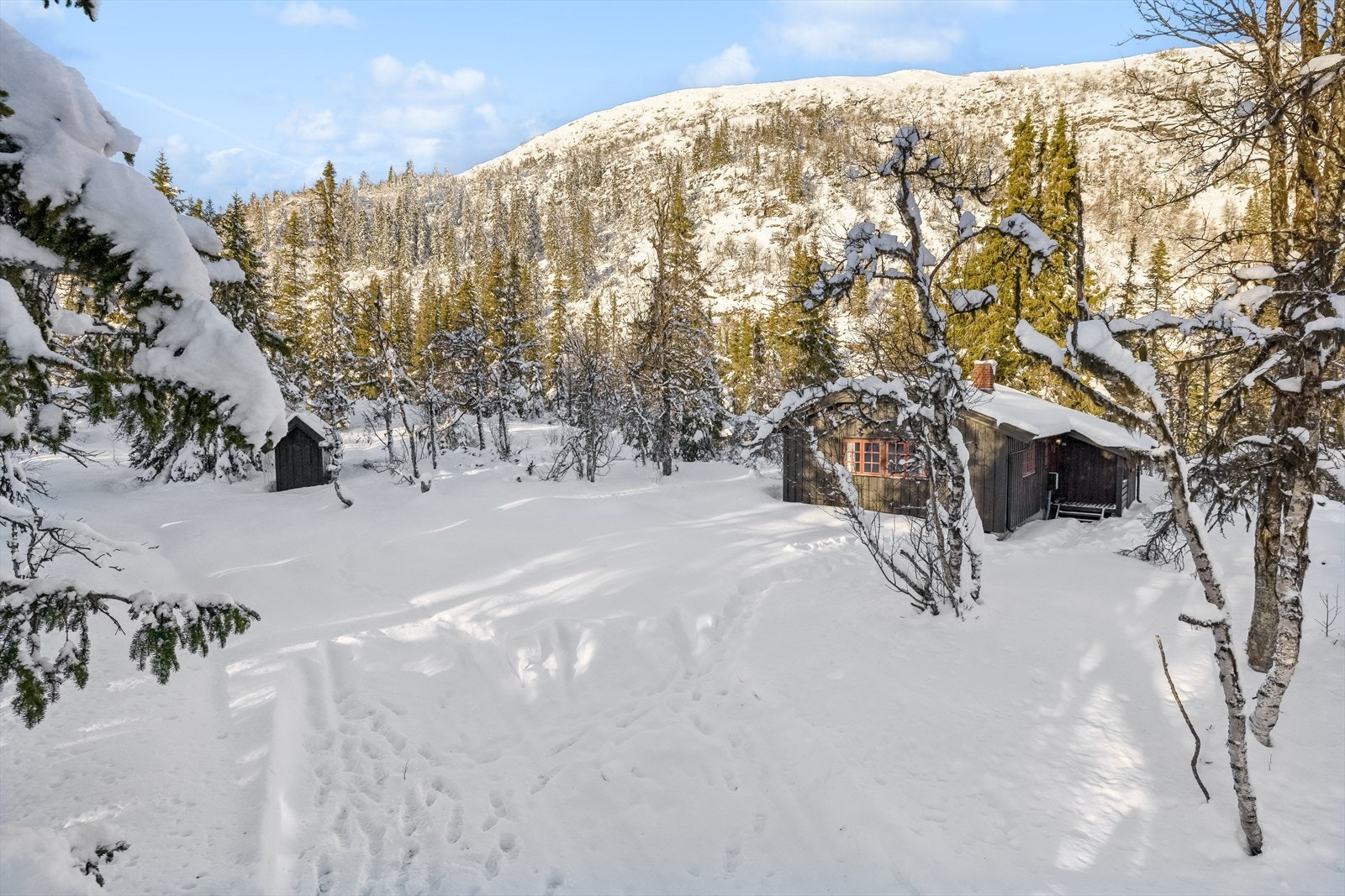 Uvdal kan by på fantastiske skiopplevelser for både store og små. Det prepareres løyper for både klassisk og skøyting jevnlig gjennom hele vinteren. Skiløypene i hele kommunen er svært godt merket, slik at det er lett å finne frem (og tilbake). Galleribilde