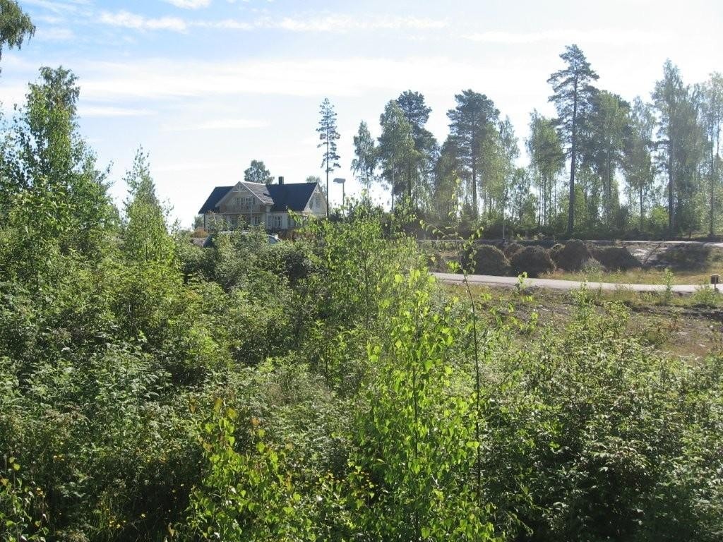 Utsikt mot nord fra Mikkelsplass 7 Galleribilde