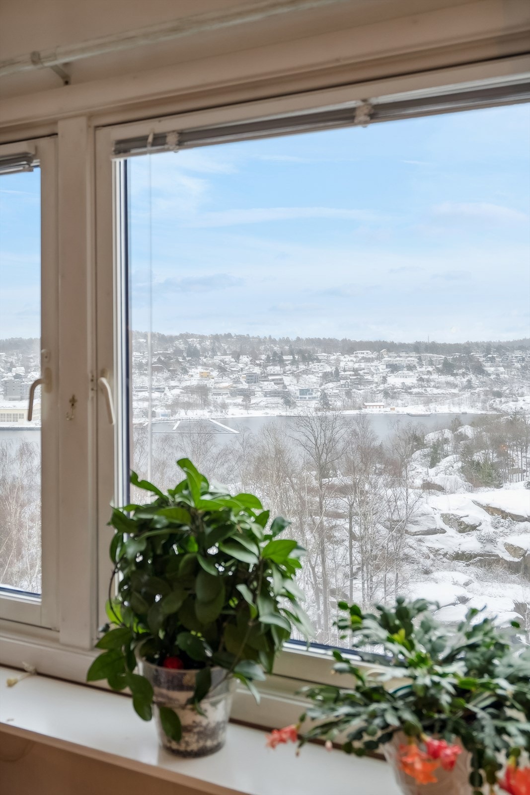 Utsikt fra stuevindu. Galleribilde