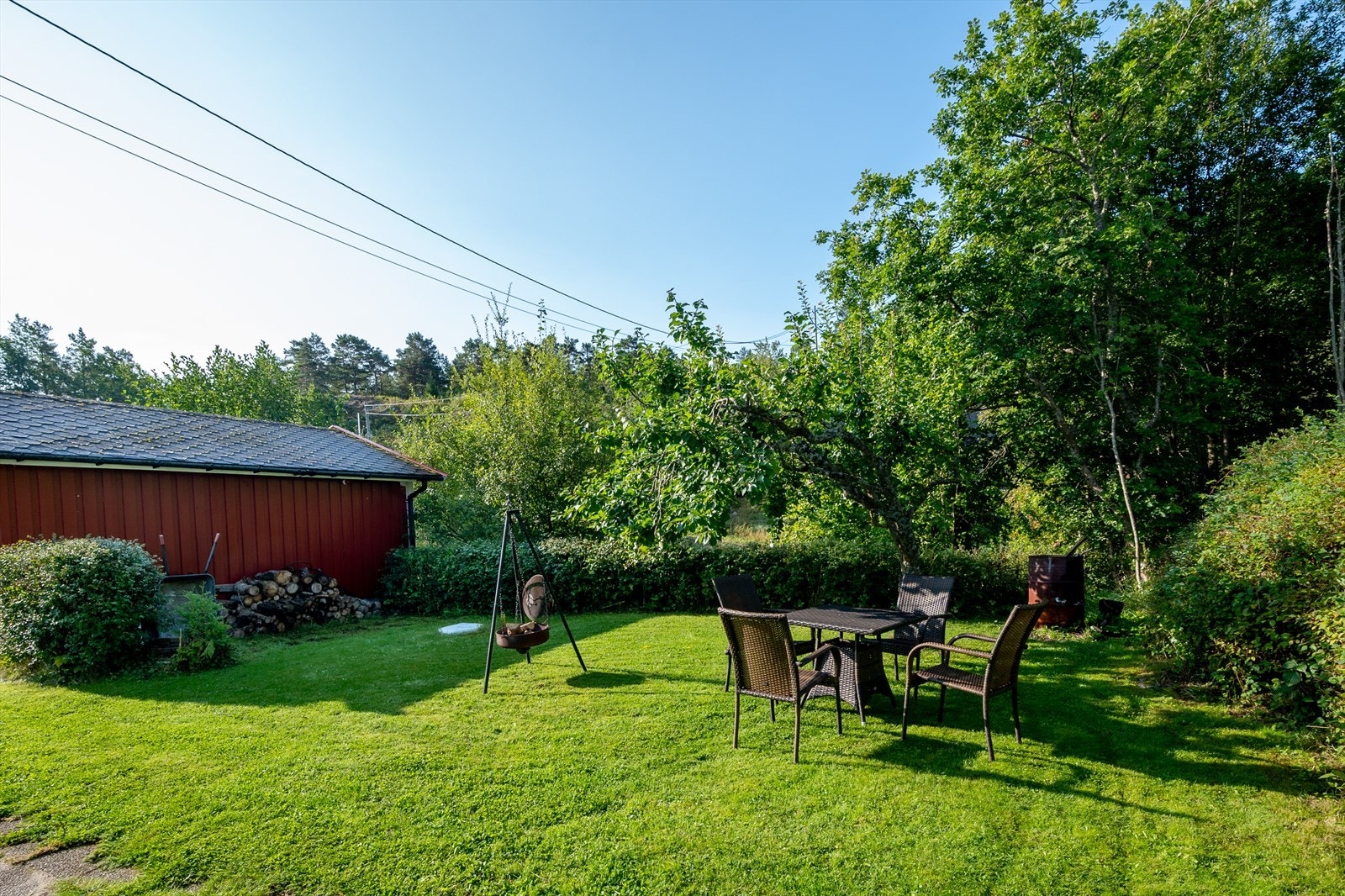 Skjermet hage med plen og frukttre Galleribilde