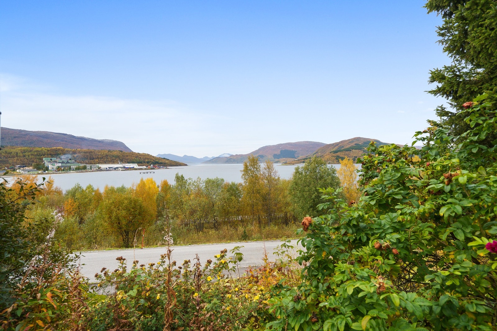 Uteområde Galleribilde