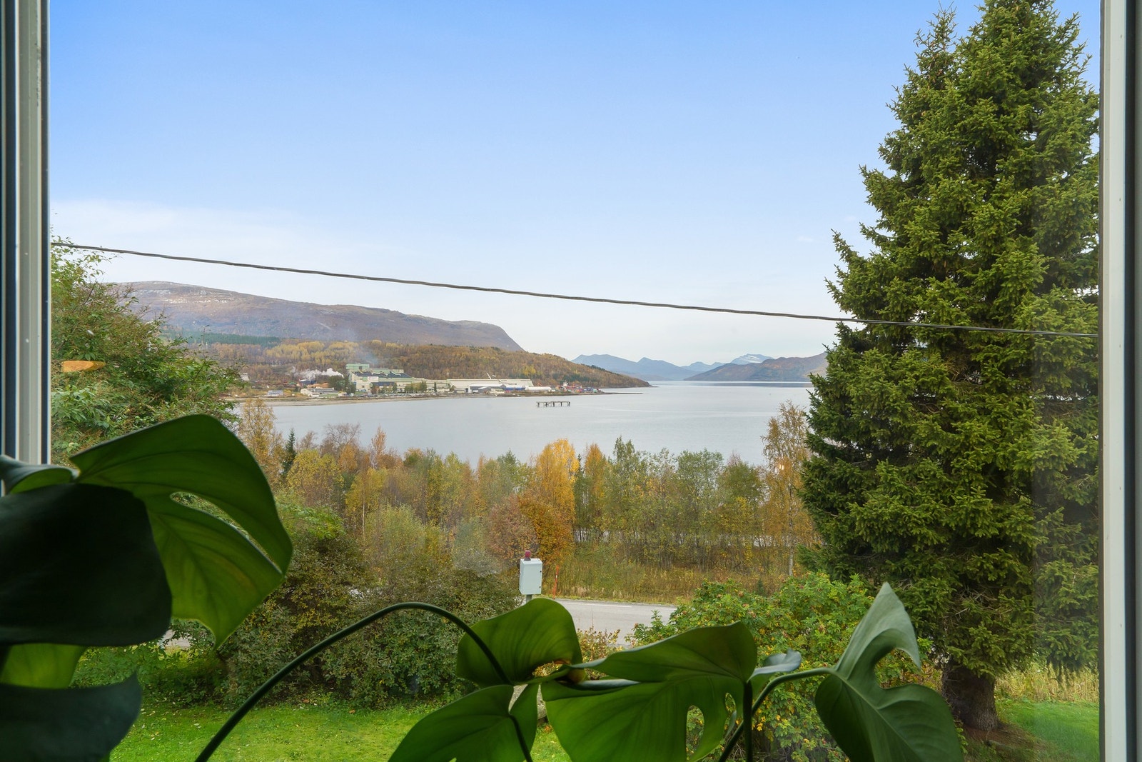 Uteområde Galleribilde