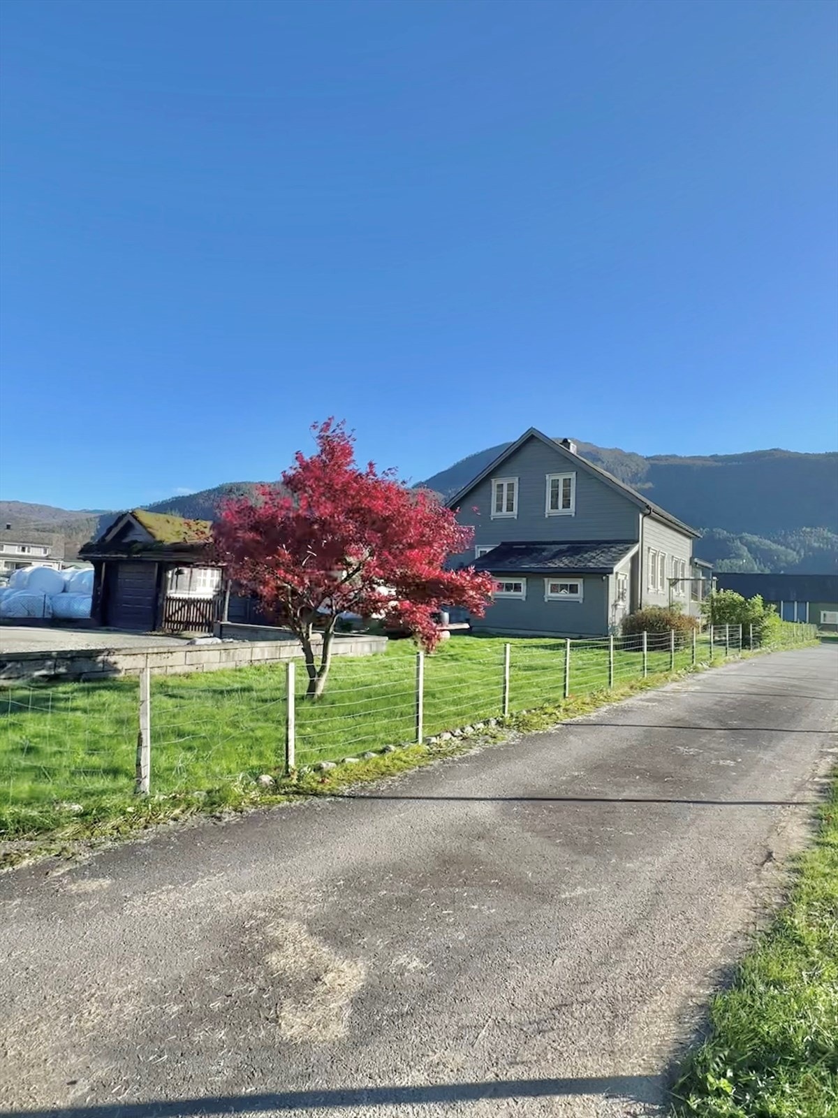 Sommerbilde fra selger Galleribilde