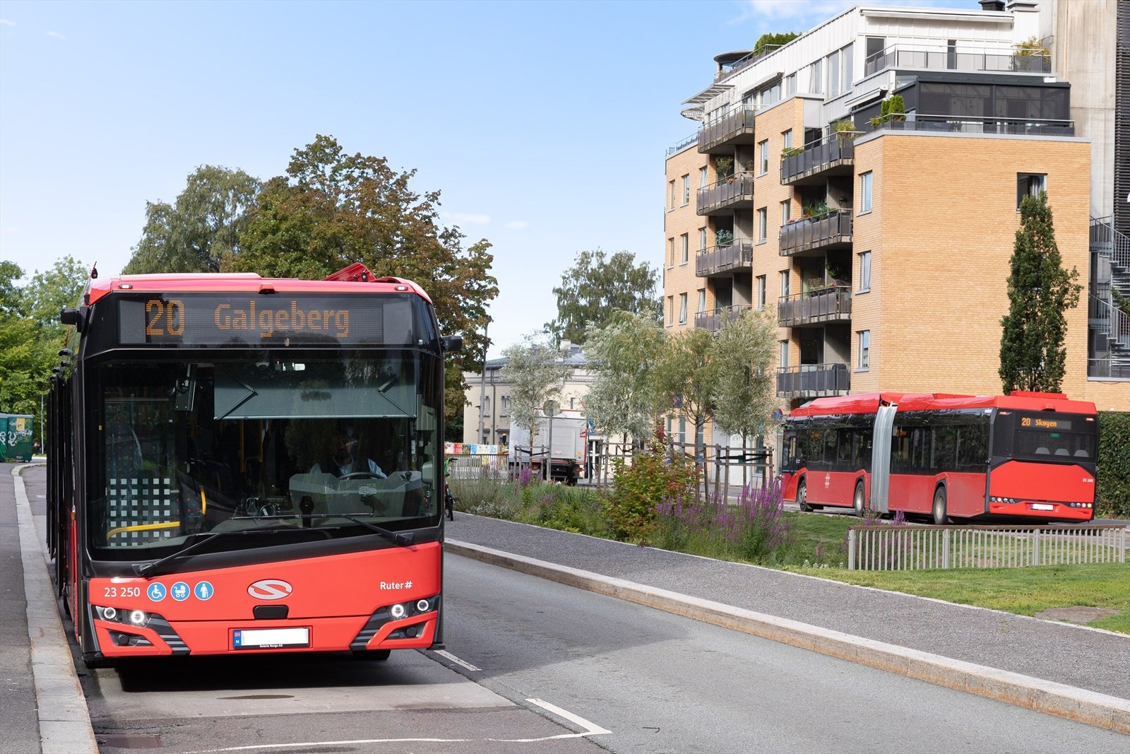 Nabolaget. Galleribilde