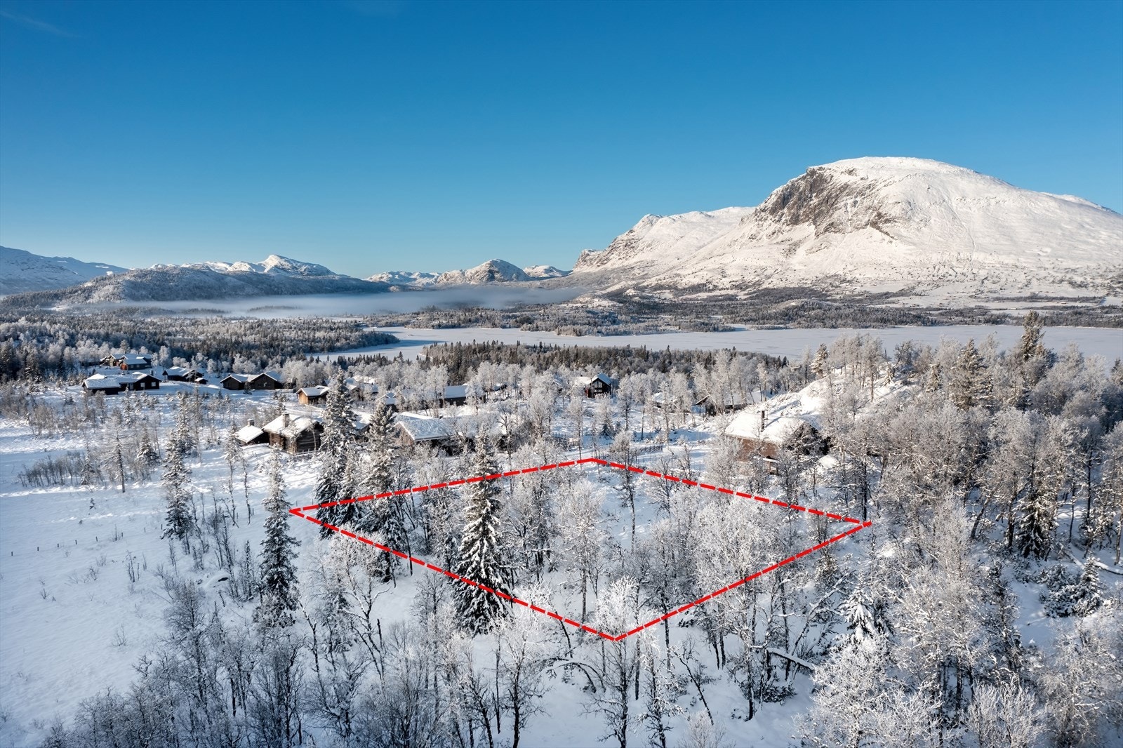 Skogshorn og Storevatn i bakgrunn Galleribilde