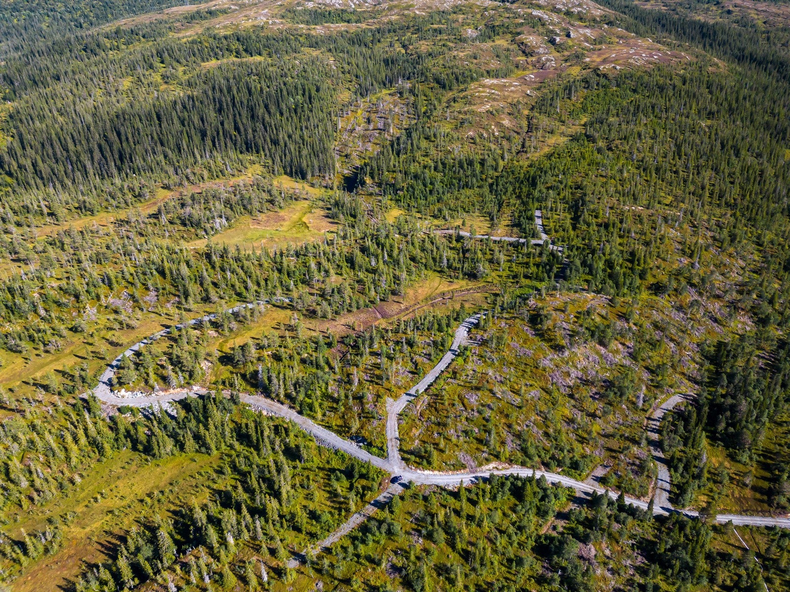 Fra feltet er det kort vei til skiløyper. Galleribilde