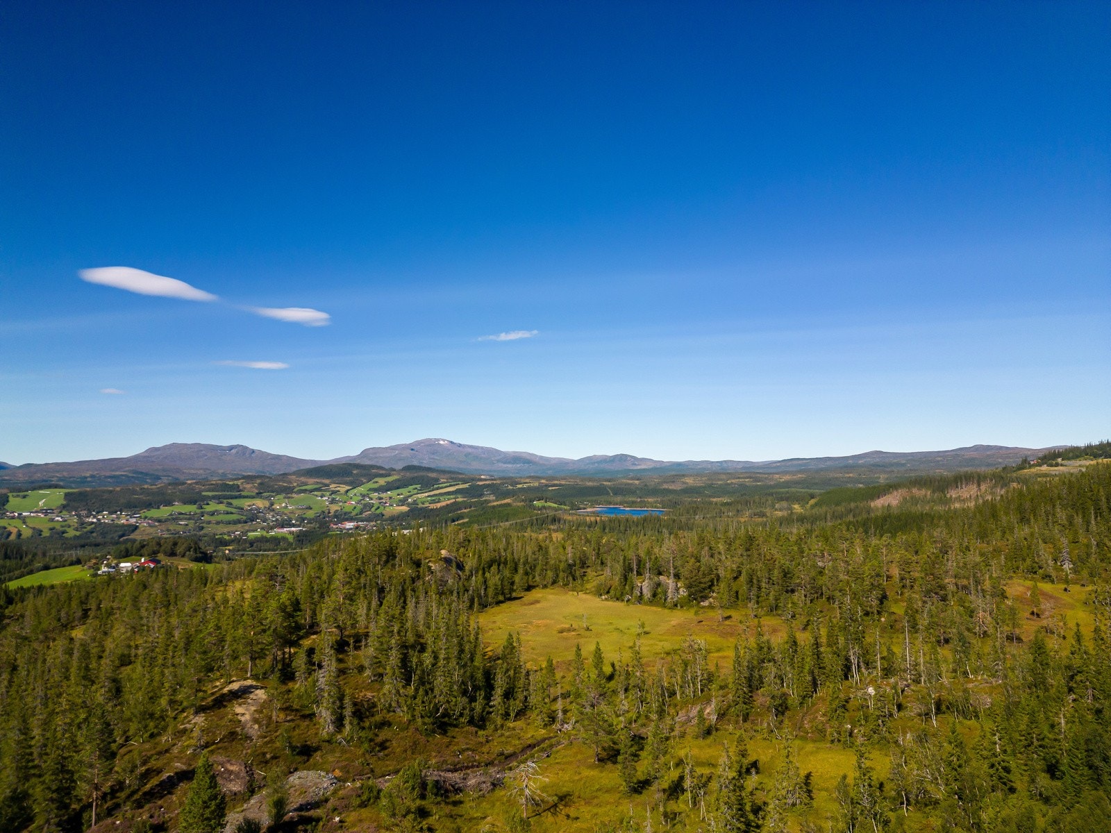 Det er opp til kjøper om man ønsker å kjøpe tomta som eiet tomt eller om man ønksker å ha festet tomt. Galleribilde
