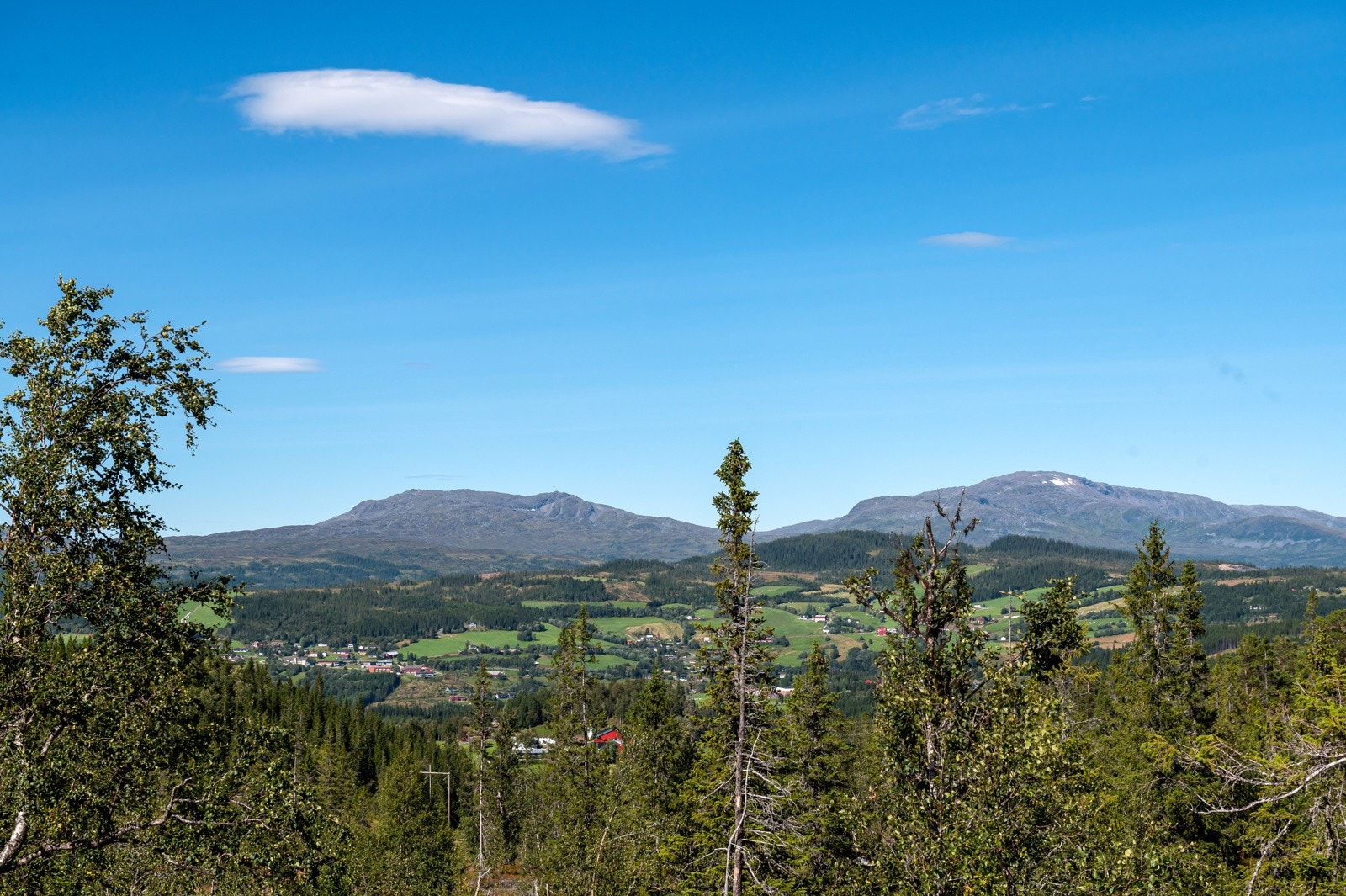 Hyttefeltet vil ha svært gode sol- og utsiktsforhold. Galleribilde