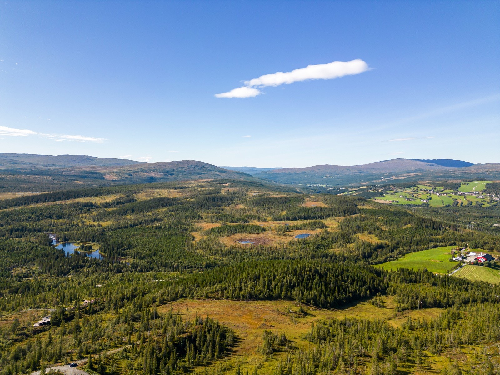 Det legges nå ut 17 hyttetomter i dette flotte hyttefeltet. Tomtene er på ca. 1 mål og fremstår som romslige med god plass til nabotomter. Galleribilde