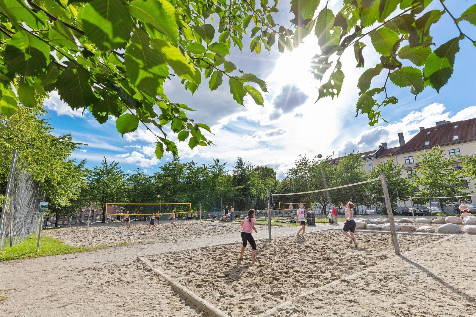 Nærområdet har også flere frodige og hyggelige parker som f.eks. Torshovparken og Torshovdalen som er populære samlingspunkter på sommeren. Galleribilde
