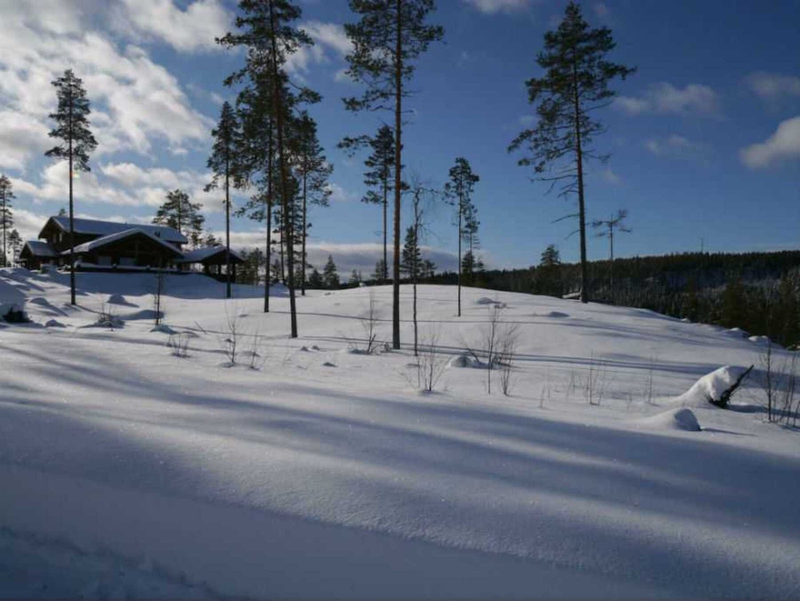 Foto fra tomtefeltet Galleribilde