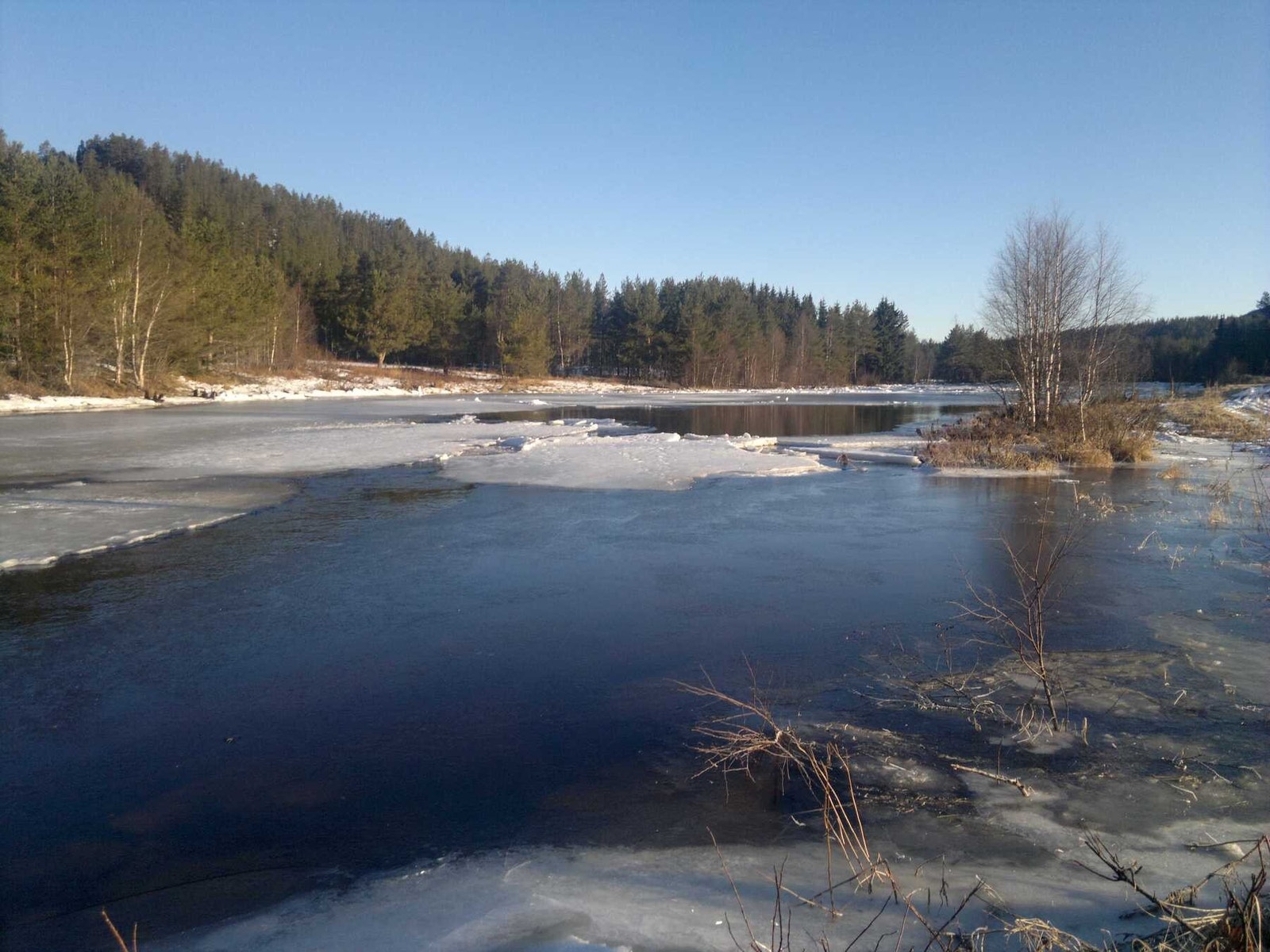 Foto fra nærområdet, Nordre Osa som renner ut i Osensjøen Galleribilde