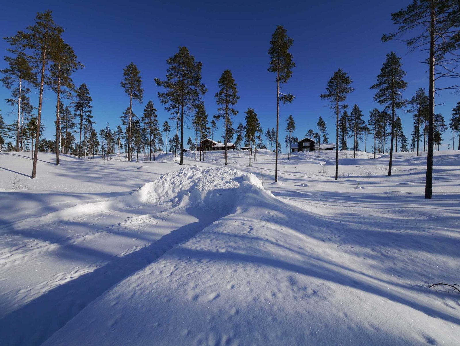 Foto fra tomtefeltet Galleribilde