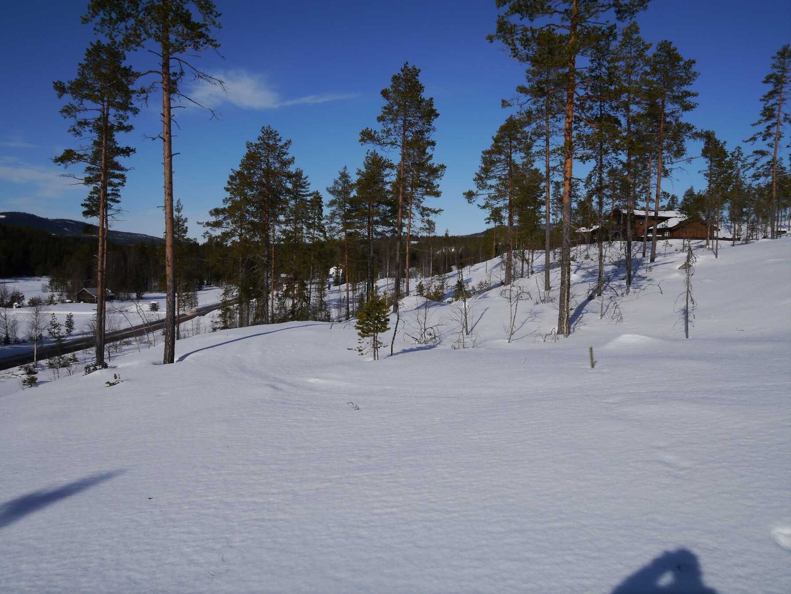 Foto fra tomtefeltet Galleribilde