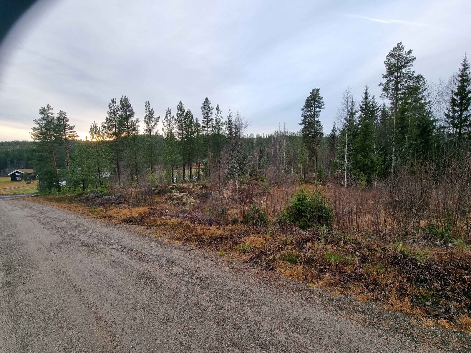 Foto fra tomt 130 Galleribilde