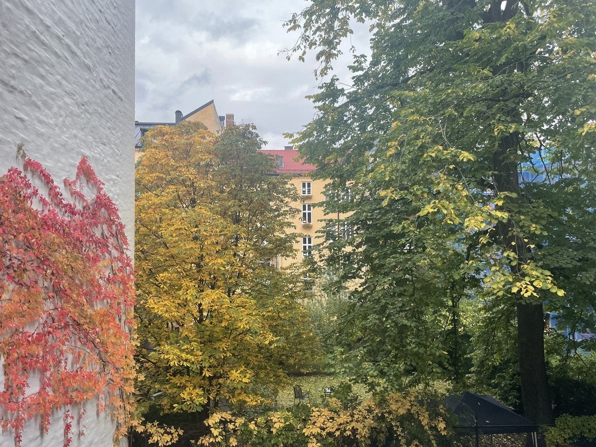 Utsikt fra soverom om sommeren Galleribilde