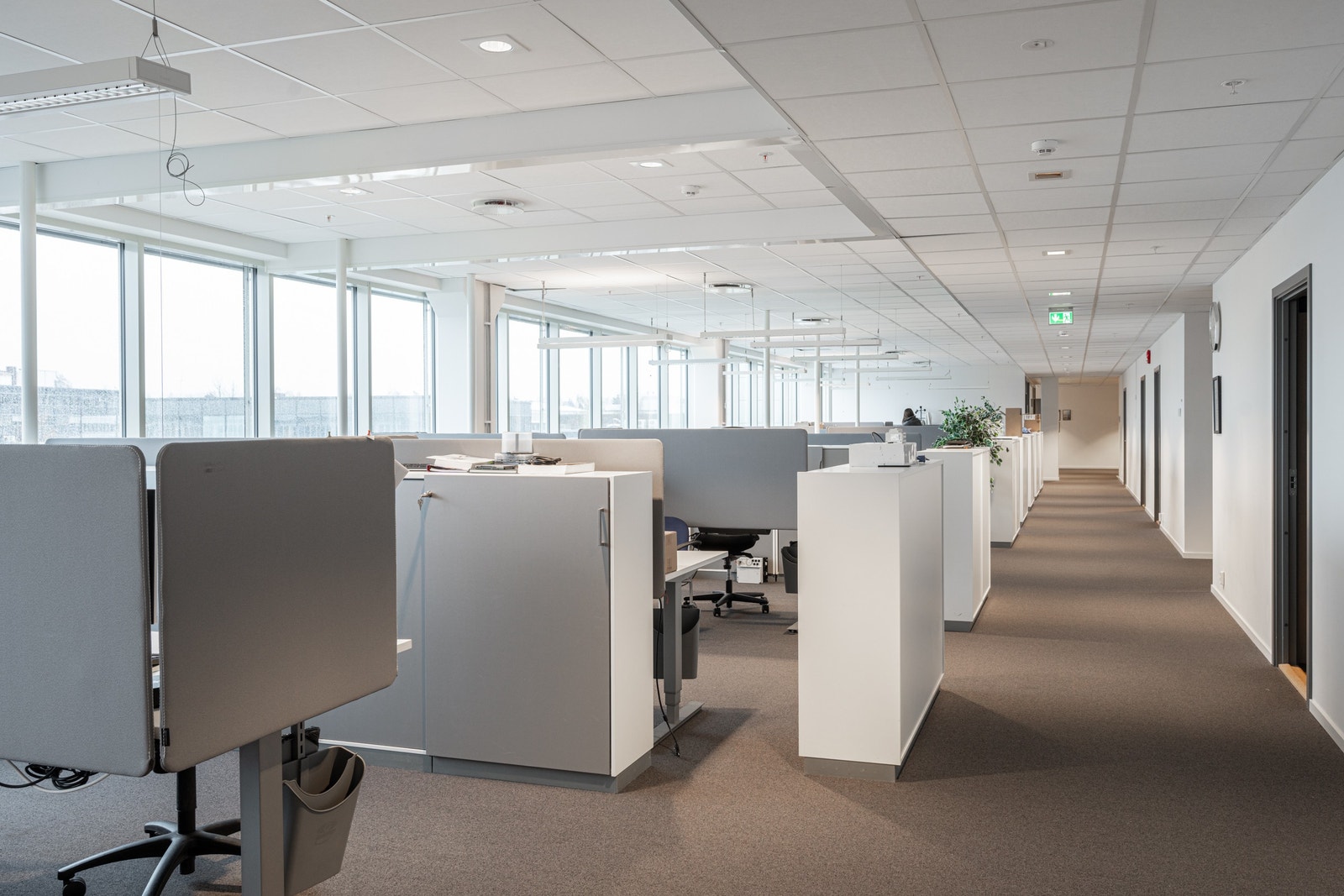 Åpent landskap Galleribilde