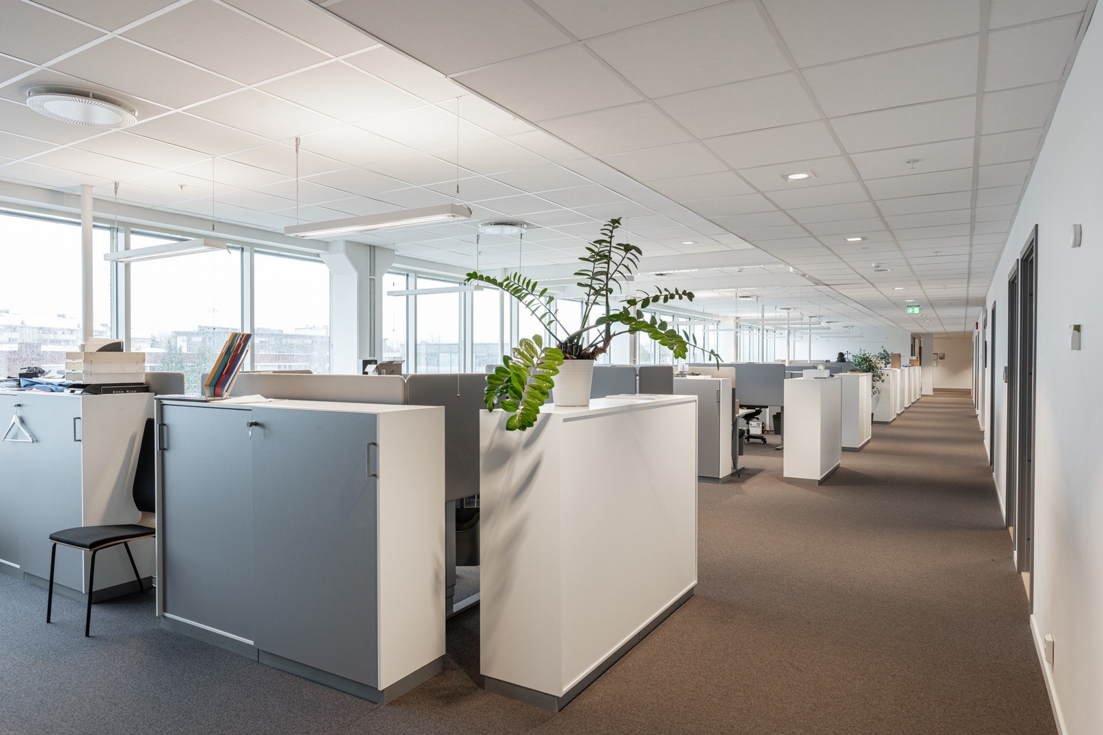 Åpent landskap Galleribilde