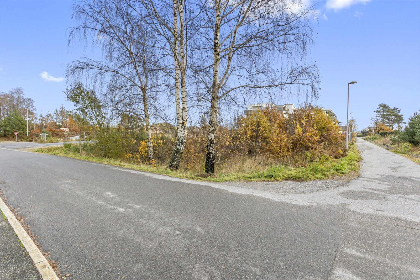 0O5A2188.jpg Galleribilde