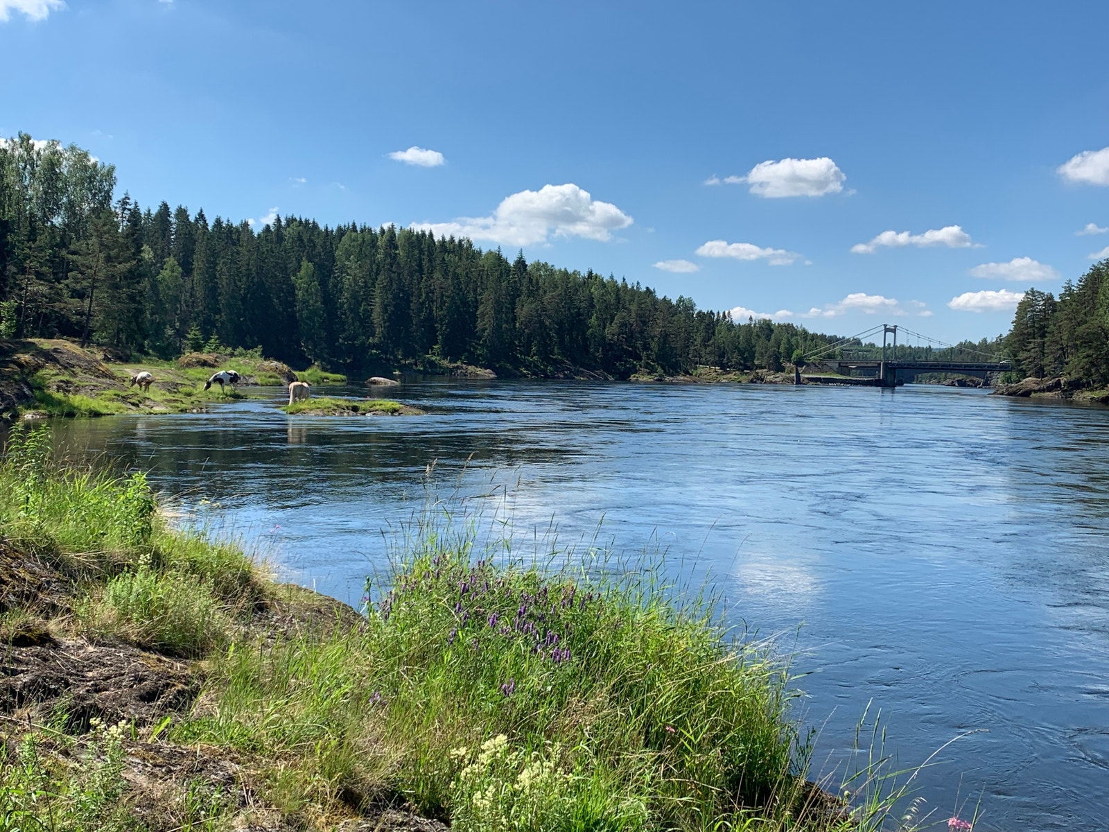 Velkommen til Askim - Kort vei til Glomma Galleribilde