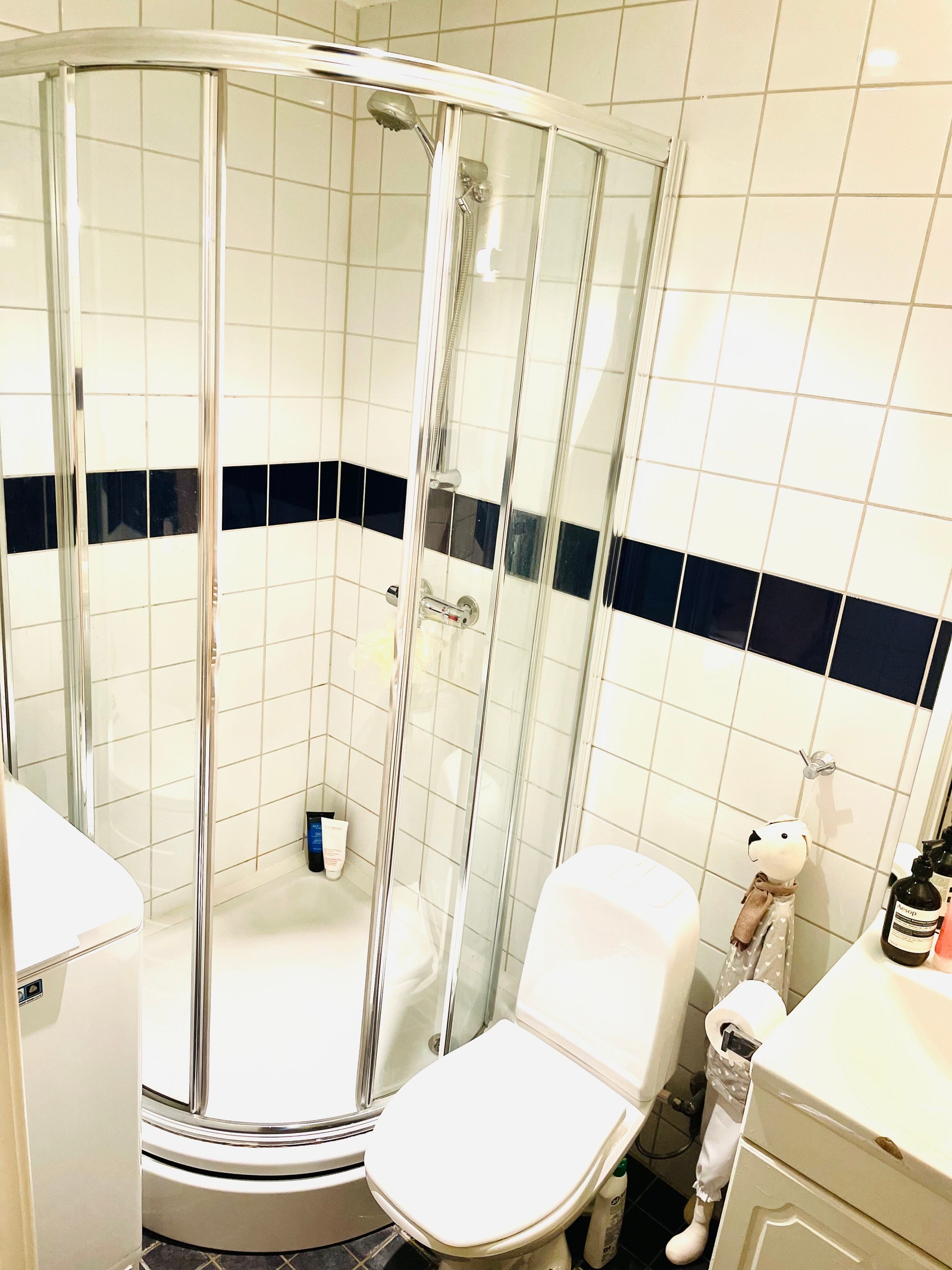 Bathroom 1 Galleribilde