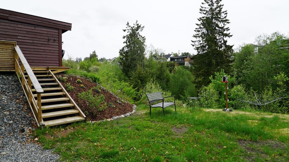 Utsikt utover en grønn dal med bringebærbusker, rips og frukttrær. Galleribilde