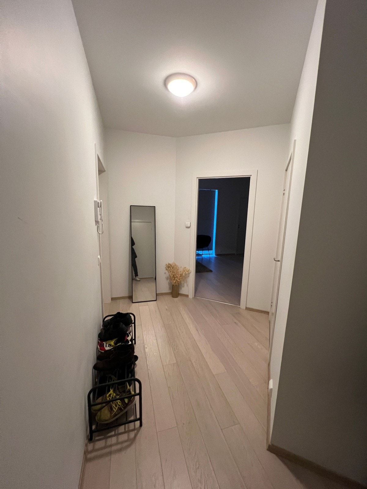 Romslig gang Galleribilde