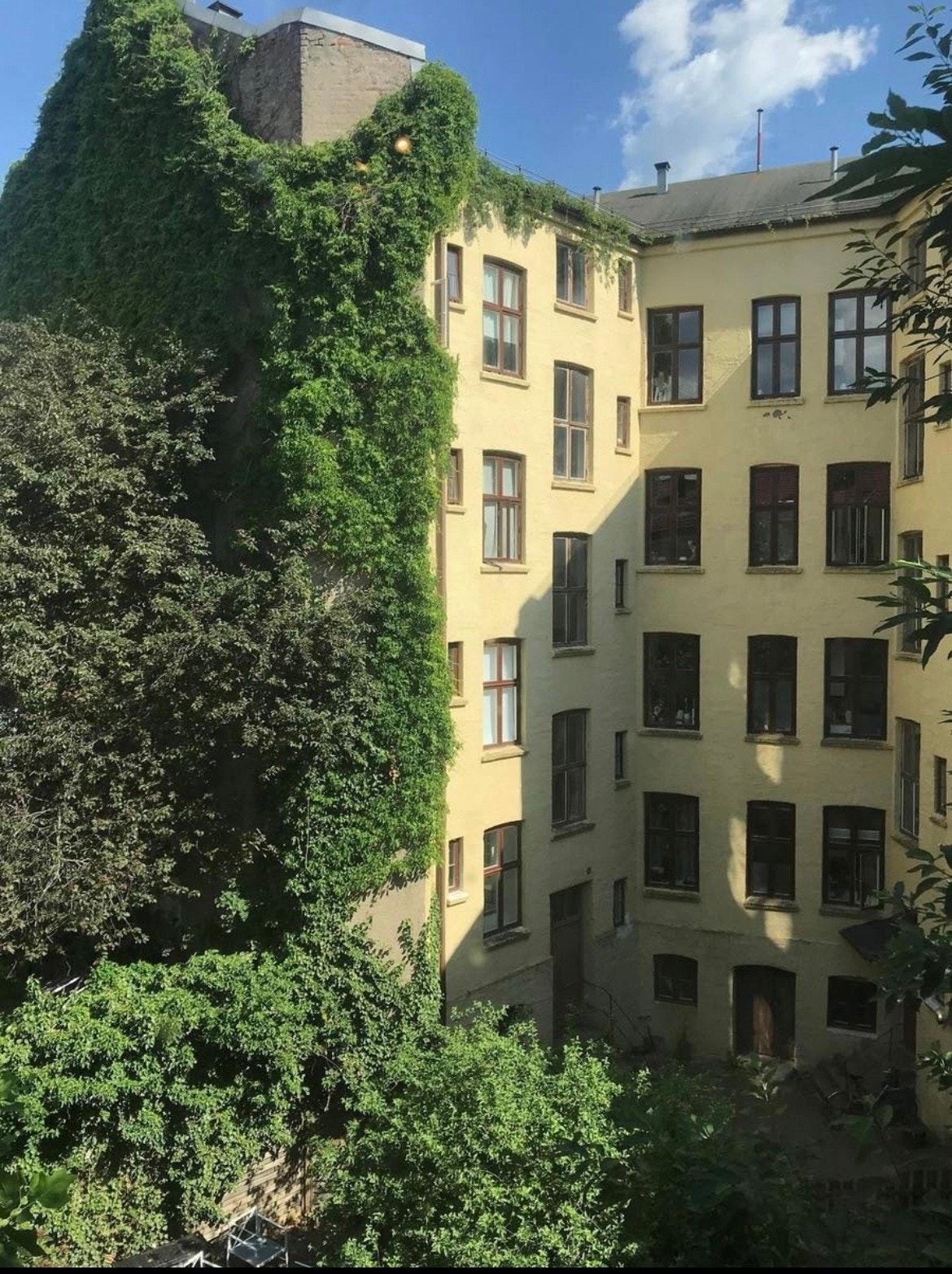 Bakgård Galleribilde