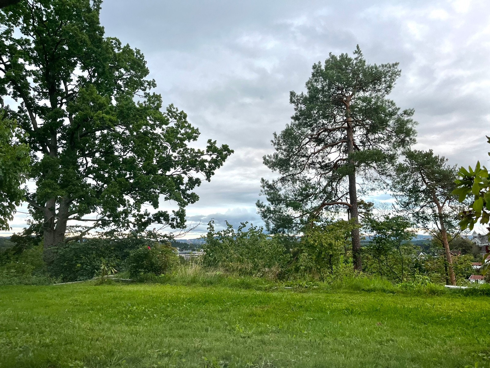 Utsikt fra vinduet Galleribilde