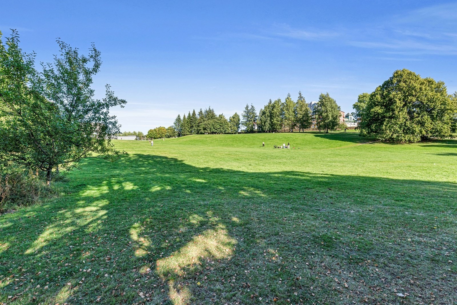 Trivelig nærområde med idylliske Torshovdalen som nærmeste nabo. Galleribilde