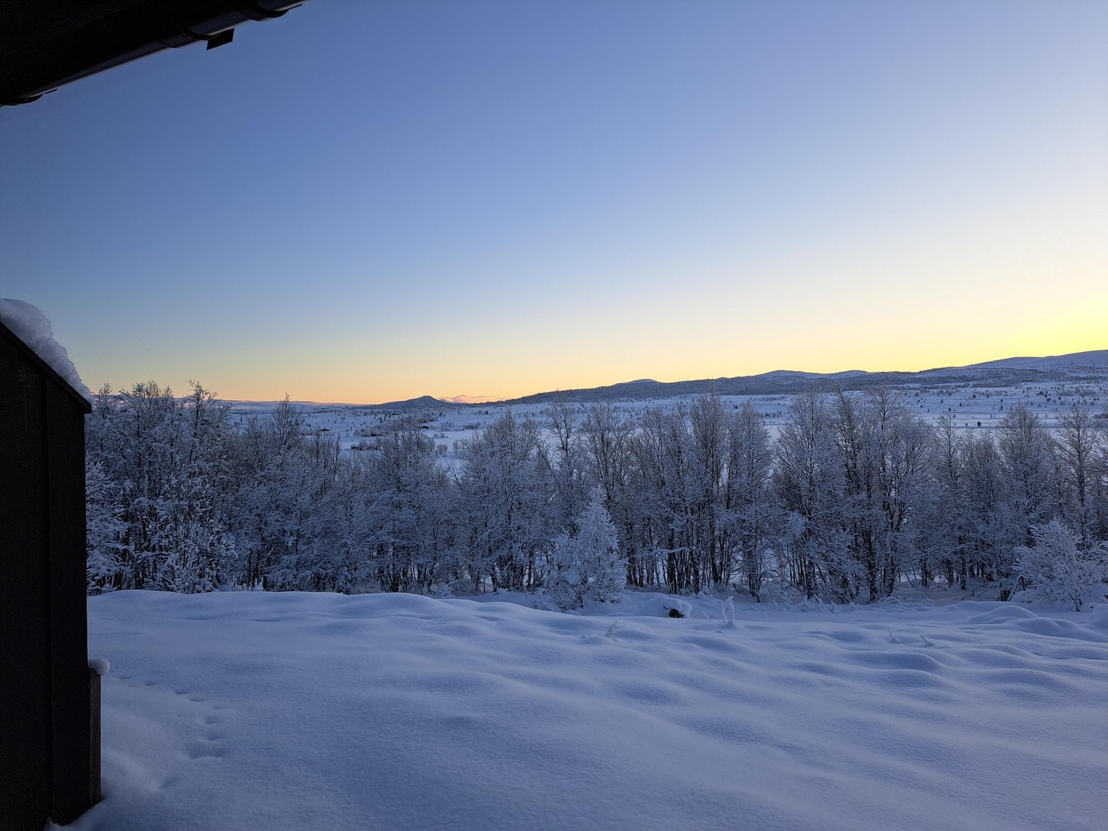 Vinterbilde fra stua (skiløype ved trærne) Galleribilde