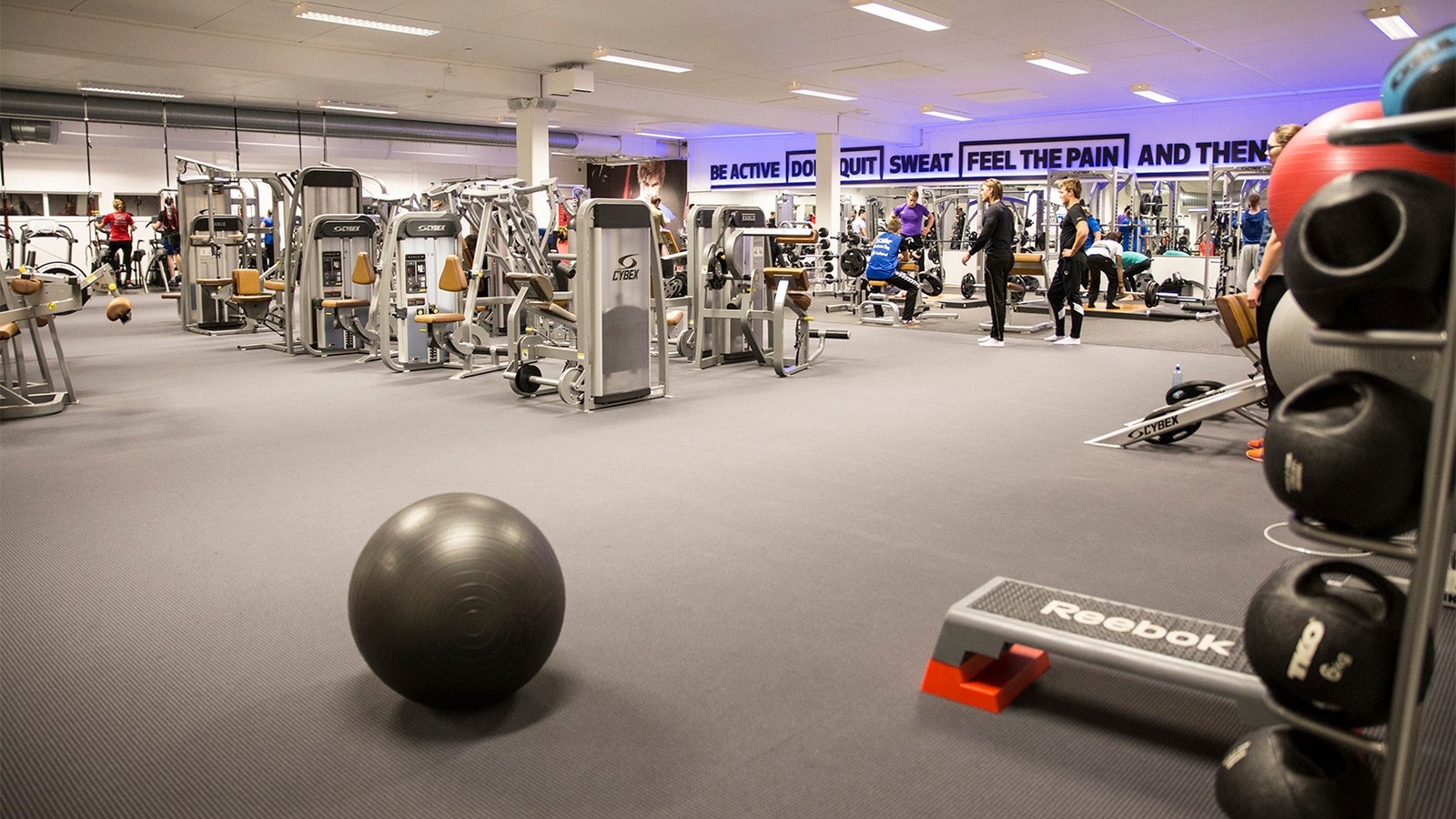 Gym (3T Moholt) Galleribilde