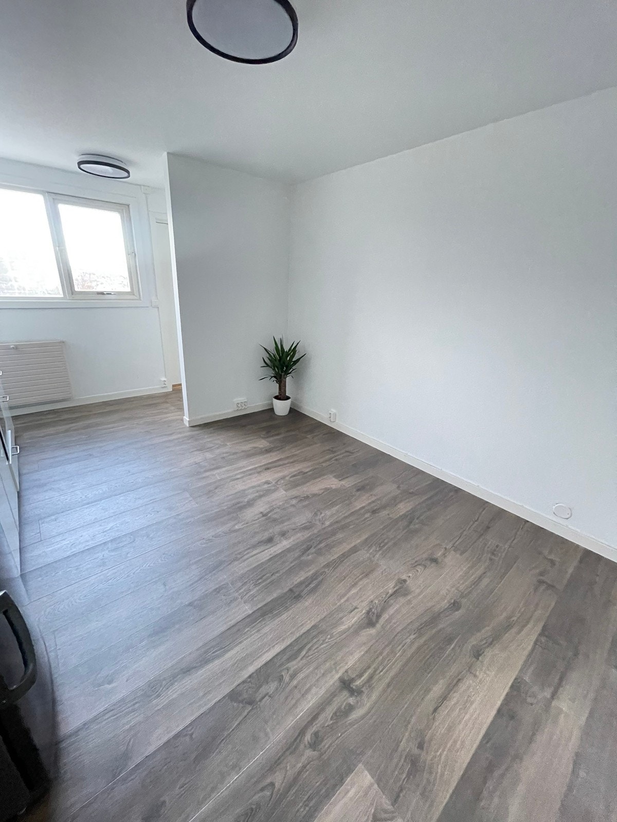 Stue/kjøkken Galleribilde