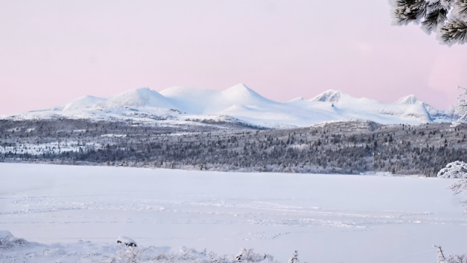 Utsikt fra stuen Galleribilde