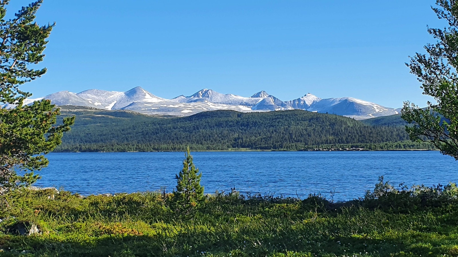 Utsikt fra eiendommen Galleribilde