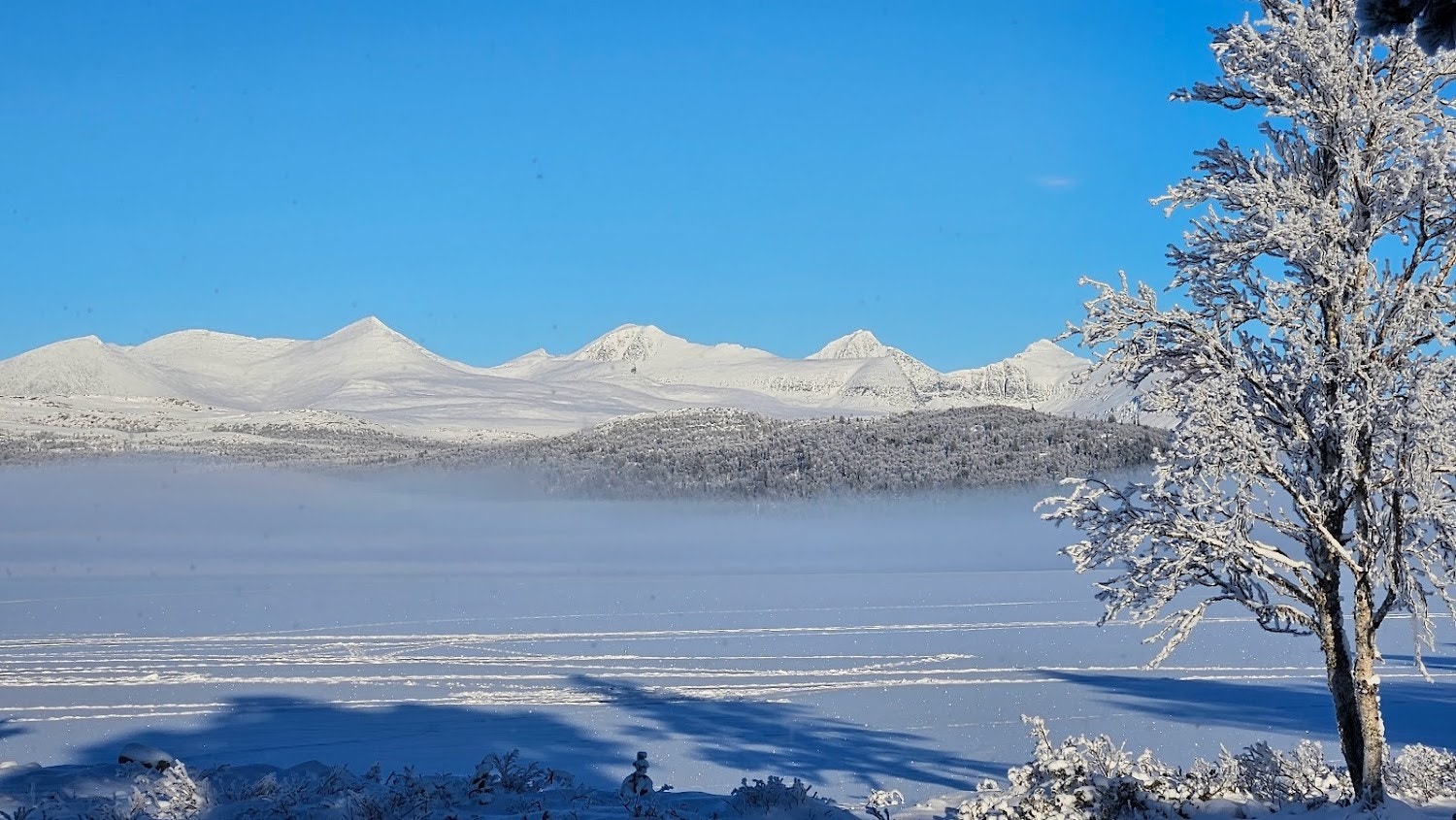 Utsikt fra stuen Galleribilde