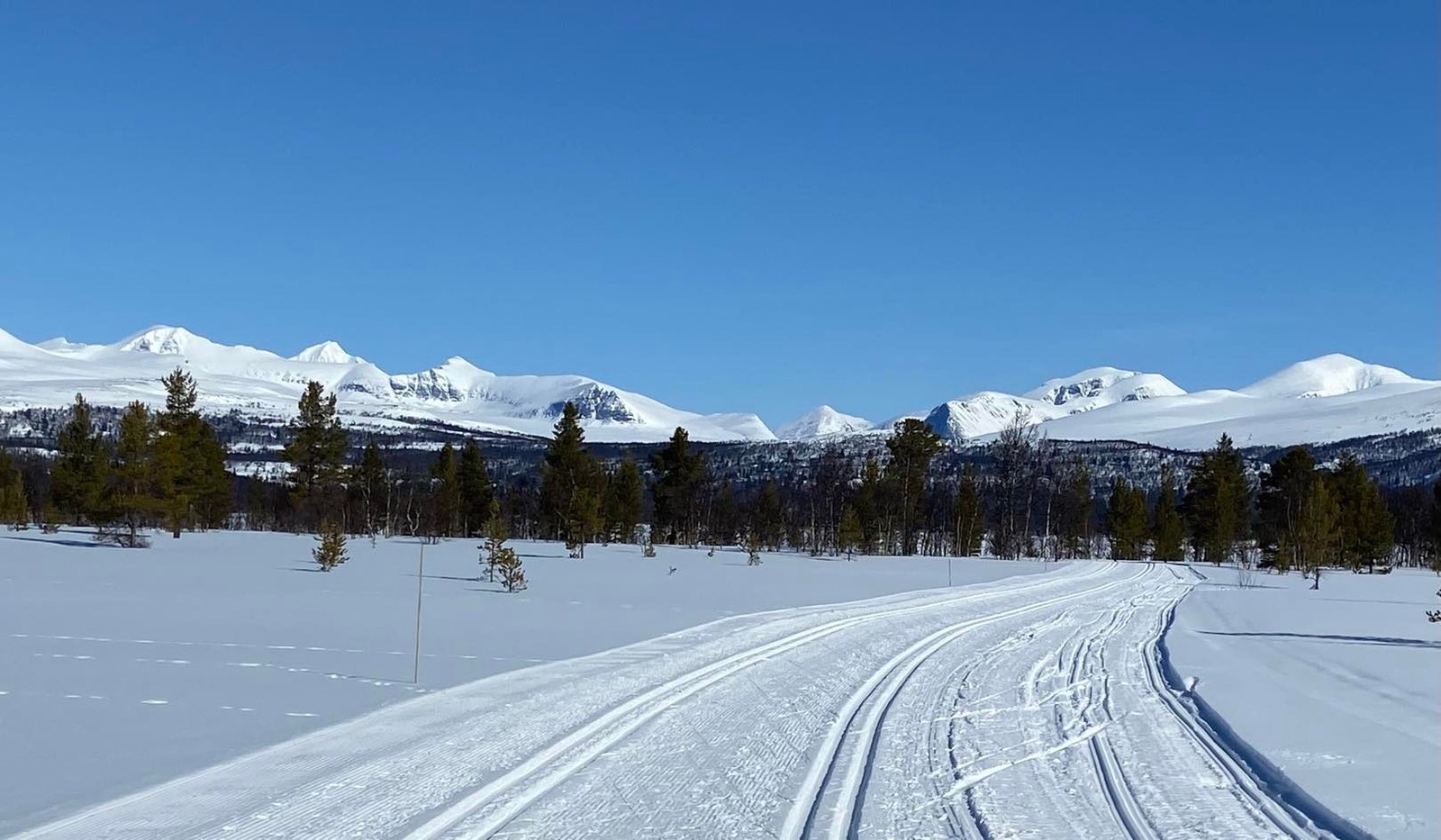 Milevis av flotte preparerte løyper Galleribilde