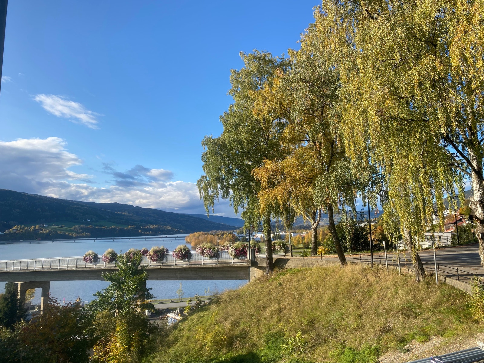 Utsikt veranda Galleribilde