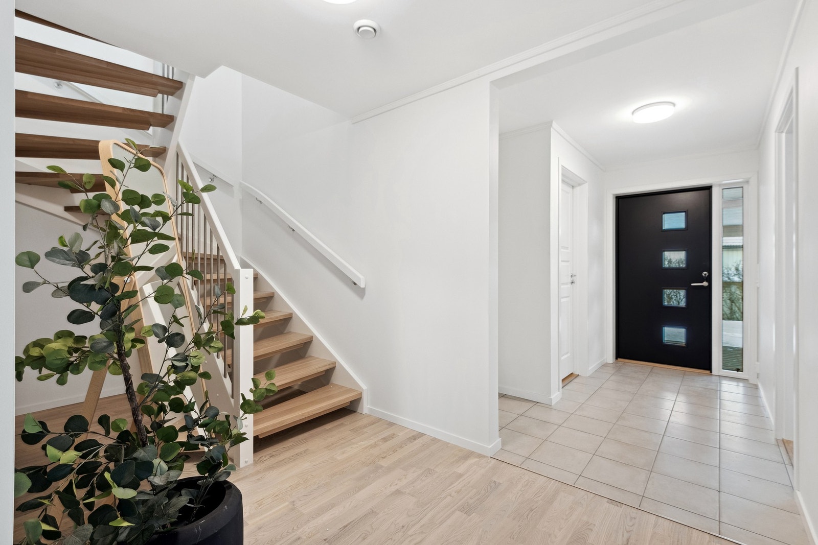 Romslig gang. Galleribilde