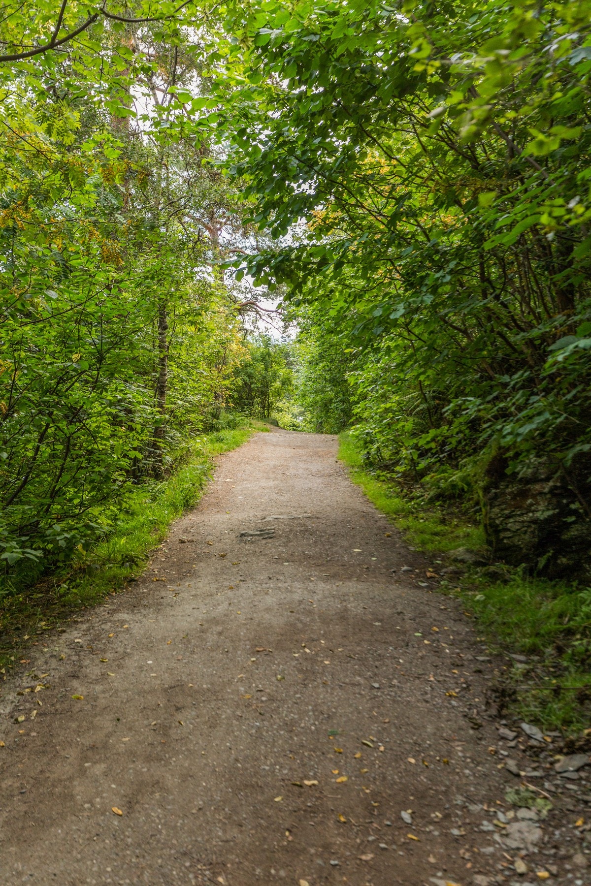 På Lysangen bor man sentralt, samtidig nært skog og natur med kort vei til harmoniske Ladestien. Galleribilde