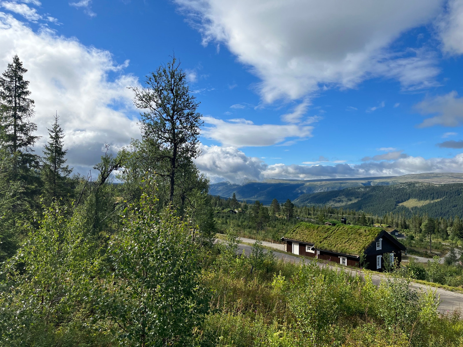 Sør Galleribilde