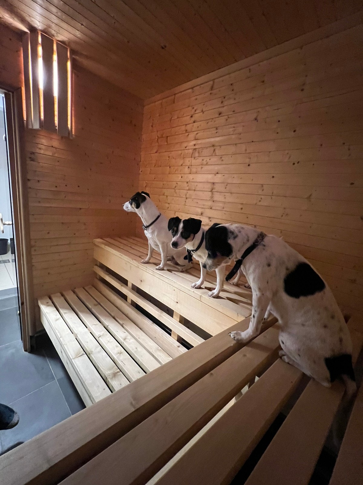 Saunaworld Galleribilde