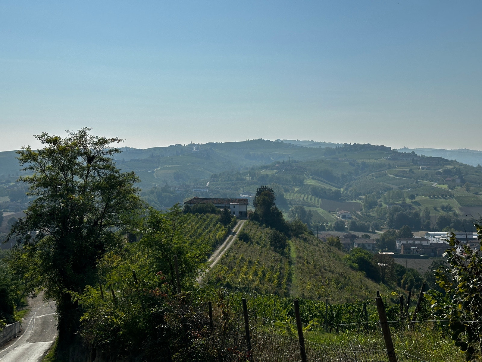 Cascina MonteMaggio ligger fritt og deilig på sin egen collina (kolle) omgitt av vinranker og med nydelig utsikt. Galleribilde