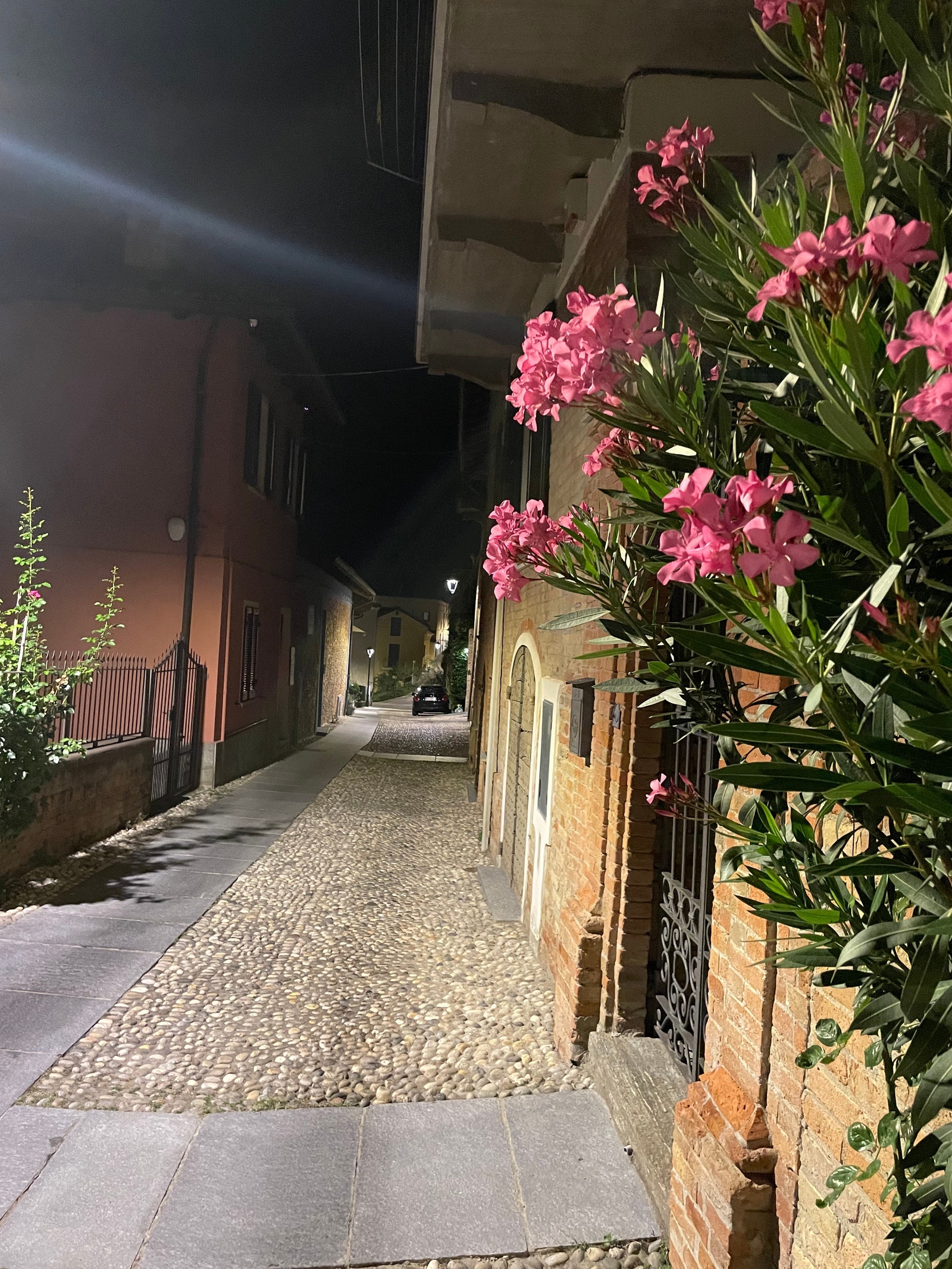 Detaljbilde fra gamlebyen. Galleribilde