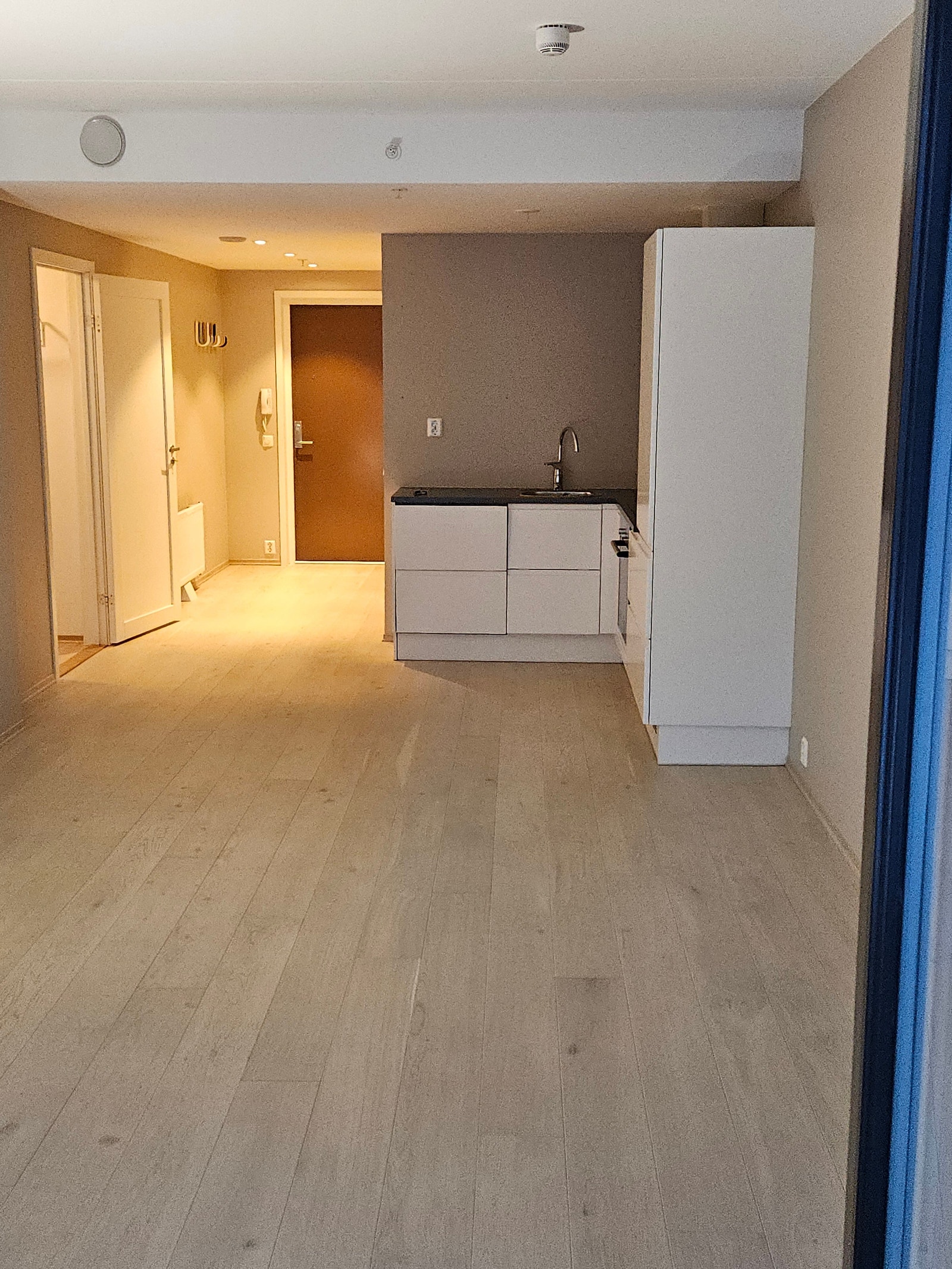 Stue/kjøkken Galleribilde