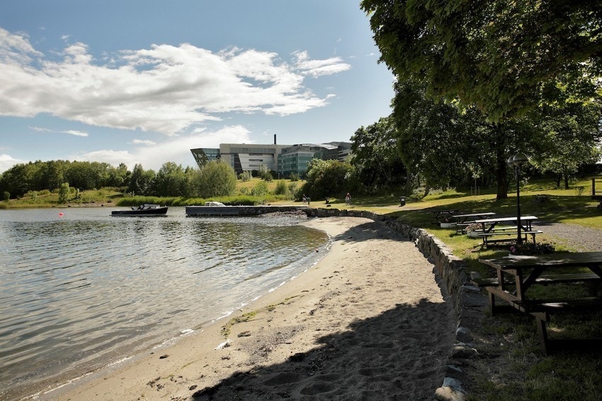 Smedtangen med bademuligheter - Vakre omgivelser ved Fornebu strand, rett i nærheten av boligen. Galleribilde