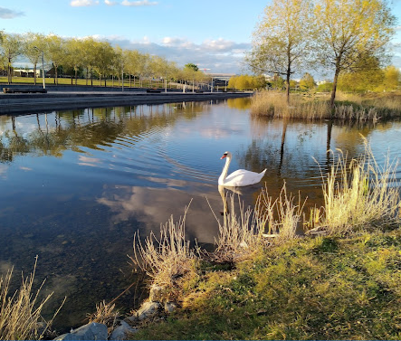 Ta en avslappende tur til Nansenparken. Galleribilde